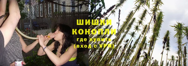 ГАЛЛЮЦИНОГЕННЫЕ ГРИБЫ Абдулино