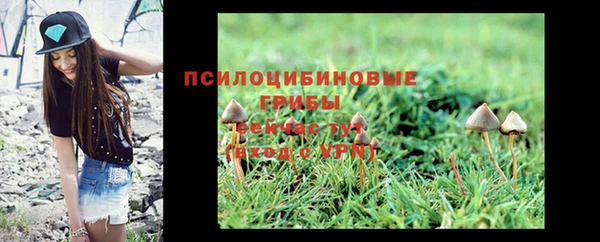 ГАЛЛЮЦИНОГЕННЫЕ ГРИБЫ Абдулино